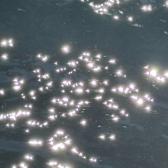 lightscameswiftly - prod apartment9
