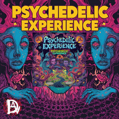 Psychedelic Experience