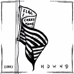 Flag I Carry Home (live at the Backroom Sound)