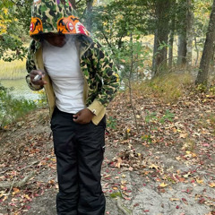 geekupbihh[newtank+rivo]