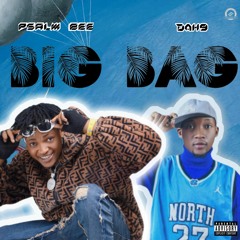 Big Bag (feat. Dah9)