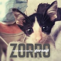 ZORRO (Ecstatic Dance Udara Bali 21.12.19)