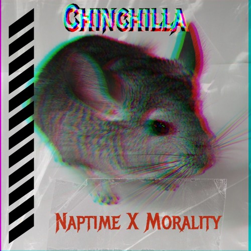 Chinchilla X Naptime