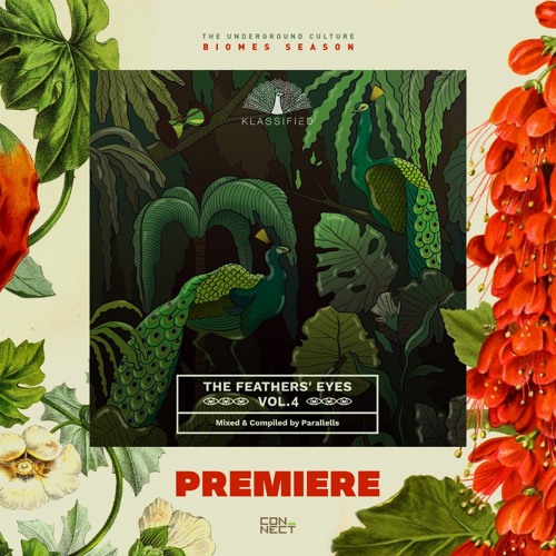PREMIERE: DIBIDABO - On My Own [Klassified]