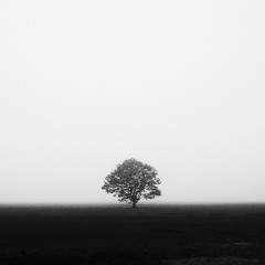 DJ SIDEWAYS - MONOCHROME MIX