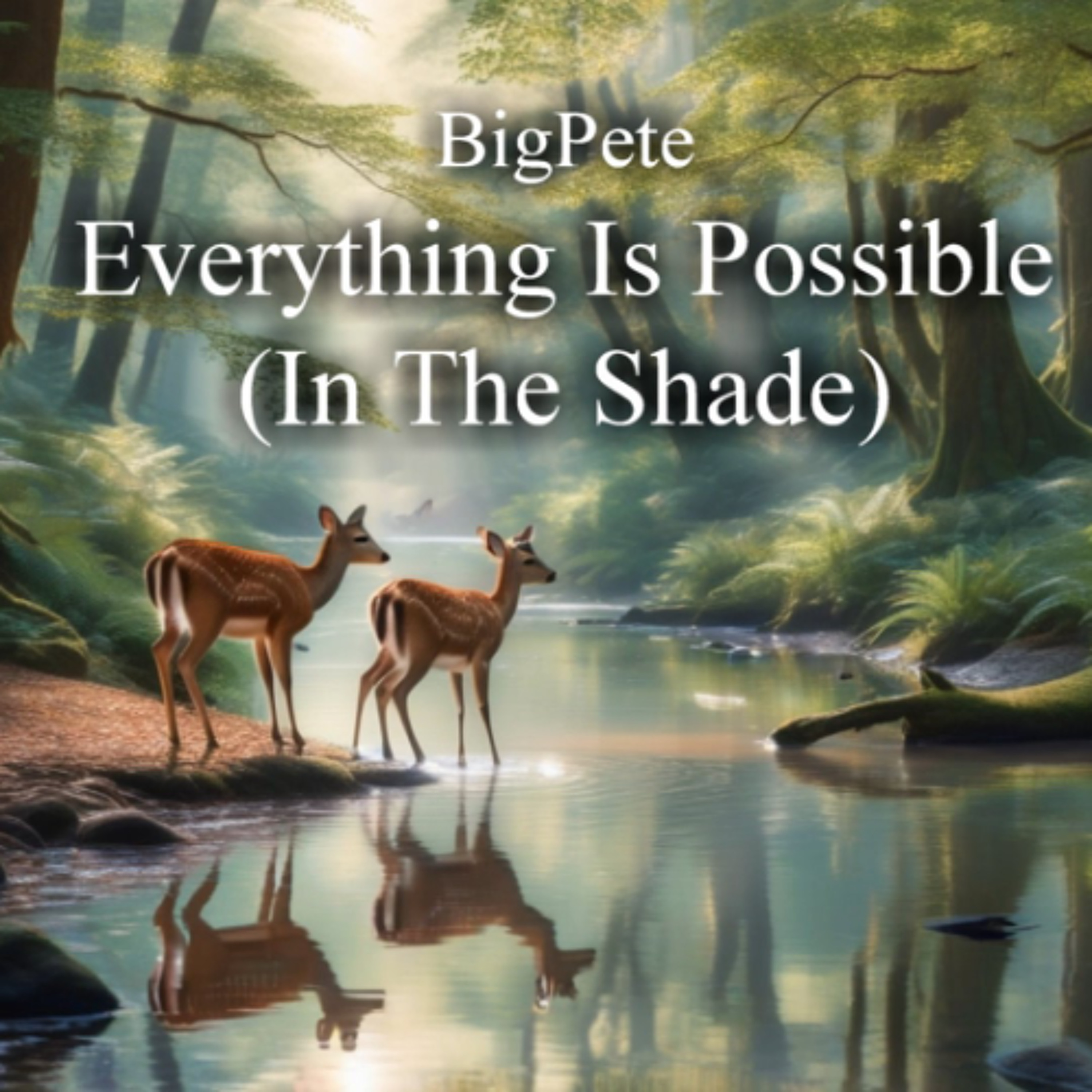 Everything Is Possible (In The Shade) episode artwork