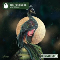 Premiere: Niko Boggs - The Pressure [DIRTYBIRD]