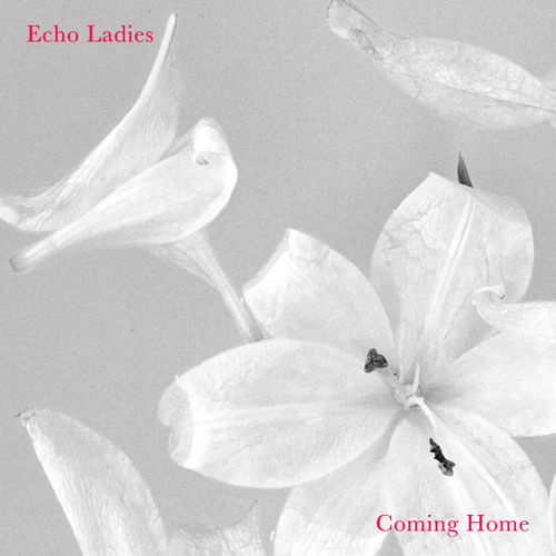 Coming Home