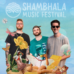 Broken Future & STUND - Shambhala 2025 Pagoda Stage