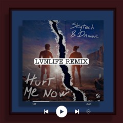 Skytech & Dannic - Hurt Me Now (LVNLIFE Remix)