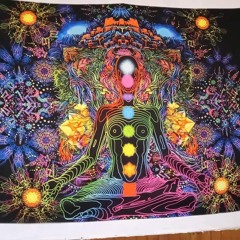 psyteck233 minijokermal