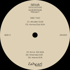 C2 - Humus Dub