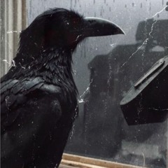 Killed By Crows - Silent Screams (Wardub)