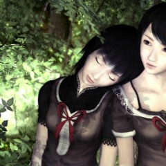 fatal frame 2 - sae 2