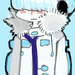 DONKA FJORD ／ Q (oto test i guess)