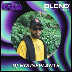 XOXA BLEND 221 - DJ Houseplants