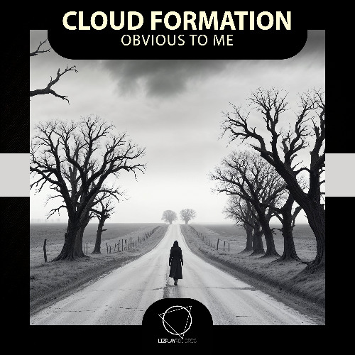 Cloud Formation - Obvious To Me (Lizplay Records)