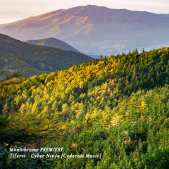 𝐏𝐑𝐄𝐌𝐈𝐄𝐑𝐄 : Tiferet - Cyber Ninja [Codecast Music]