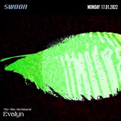Evalyn @ SWOON x The Vibe Mechanical | 17.01.22