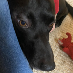 Hanging Out with Mike