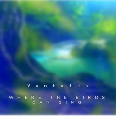 Where The Birds Can Sing