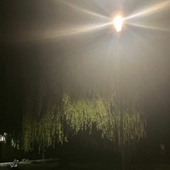 mirage [ecco2k cover]