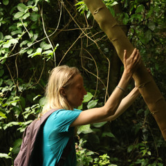 Plezier van Aanwezigheid