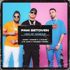 Pam x Betoven - Daddy Yankee x Justin Quiles x El Alfa x WildBoy Cooba (IvanRF & GeryDJ Mashup)
