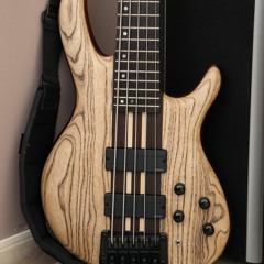 Cort A5 direct carte son