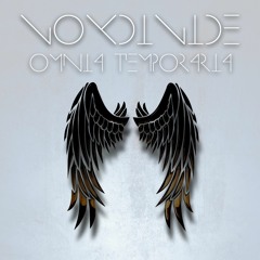 07 - Voxdivide - Hourglass