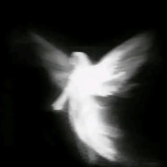 dabbackwood - Опиаты (slowed + reverb)