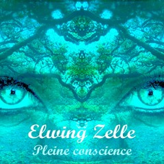 Pleine conscience