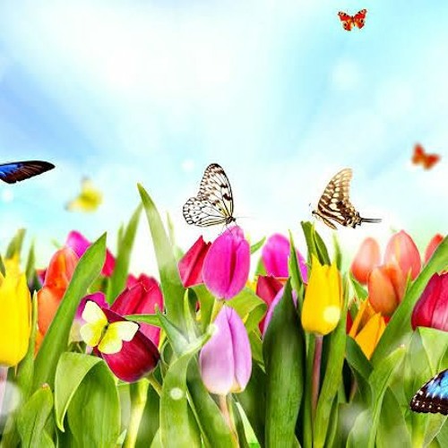 SPRING