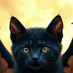 El Gato Groove (en Espanol)