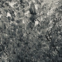 disquiet0653 - unquantified / unqualified