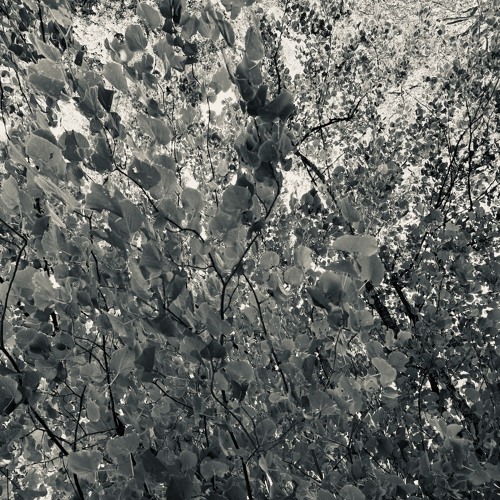disquiet0653 - unquantified / unqualified