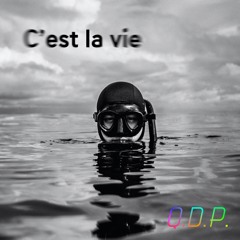 Q.D.P. - C'est la vie (Quickmix Radio Mix)