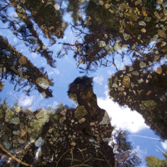 Track 3 You want to meet a ninja? Here comes Master Yang