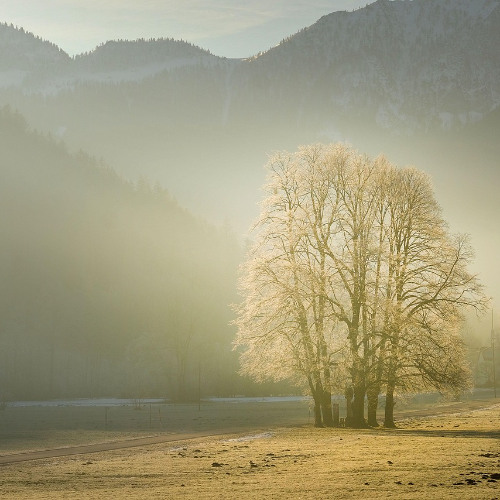 Nace una mirada radiante_edit