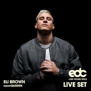 EDC LAS VEGAS 2023 (LIVE SET)