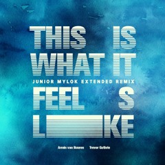 Armin van Buuren ft. Trevor Guthrie - This Is What It Feels Like (Junior & Mylok FutureTechno Remix)