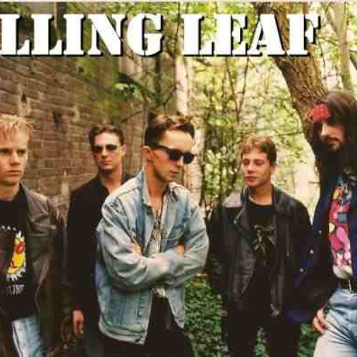 Falling Leaf - In this universe (2)
