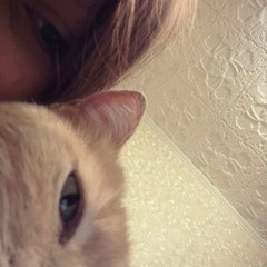 Сигаретный haunt remix by (hohohy5)