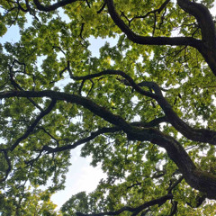 How Good It Feels...