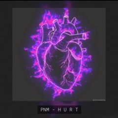PNM - H U R T