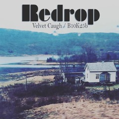 Premiere: B1 - Redrop - B10K25b [RDRP01]