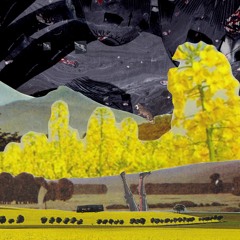 Luise Boege: artiCHOKE#16 Hörfassung Teil 3, 11.04.2020