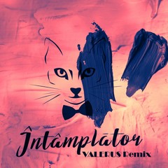 The Motans - Intamplator (Valerus Remix)