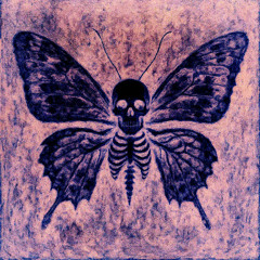 butterfly - @egoisdead444
