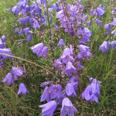 Stargazer Station (dreamy demo version)